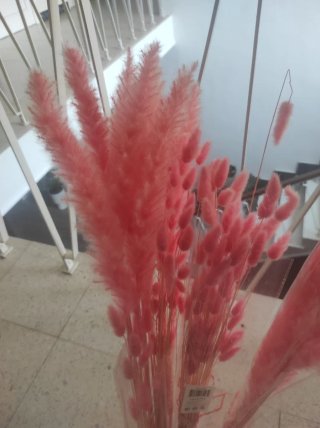 Plumeros Rosas Decorativos Para Eventos