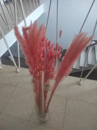 Plumeros Rosas Decorativos Para Eventos
