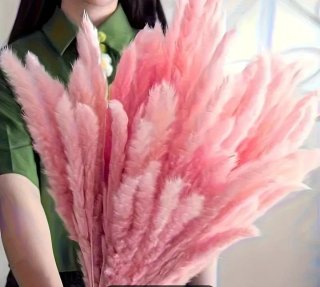 Plumeros Rosas Decorativos Para Eventos