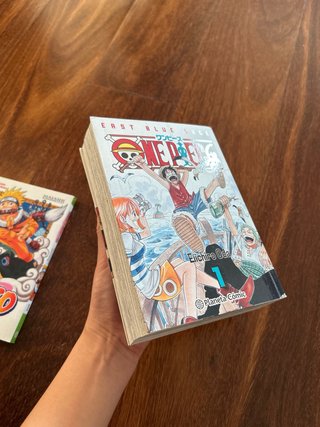 One Piece no 01