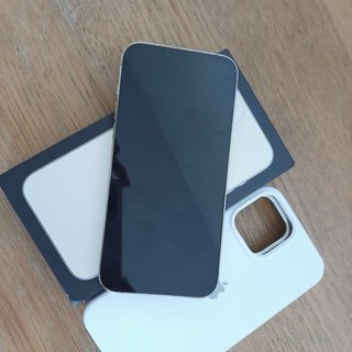 iPhone 13 Pro Max Dorado/Plateado