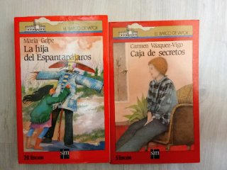 LOTE LIBROS JUVENILES