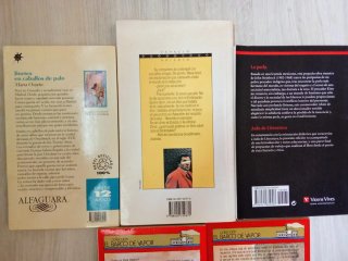 LOTE LIBROS JUVENILES