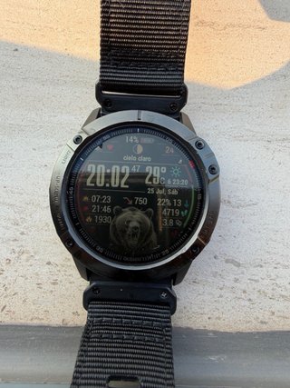 Reloj Garmin Fenix 6X Pro Negro