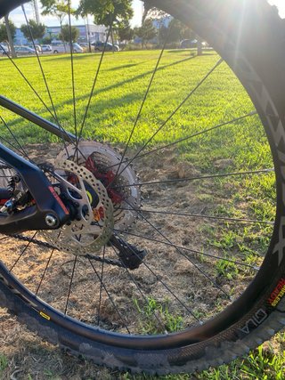 Orbea Oiz