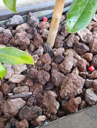 Bolsa de piedra negra, blanca o volcánica