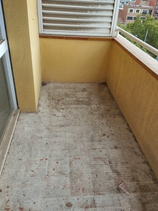paleta
