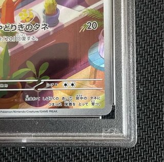 Carta pokemon Bulbasaur PSA 10 050 SVG JP original
