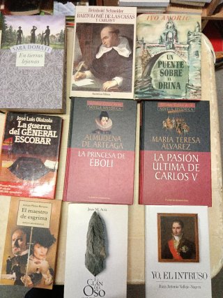 Novela histórica