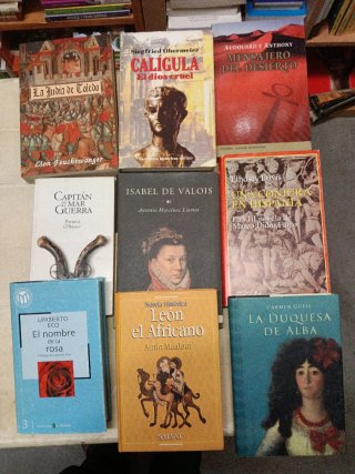 Novela histórica