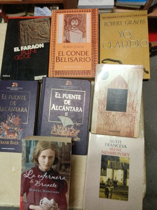 Novela histórica