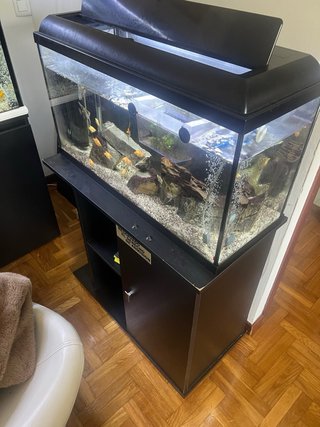 Acuario 100L Completo