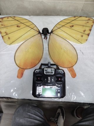 2 Droni Mariposa LED Volanti