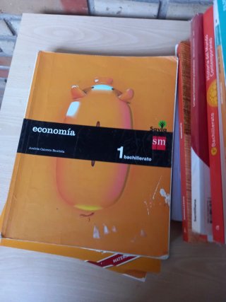 Lote de libros de Ies Europa Mostoles Bach CSocial