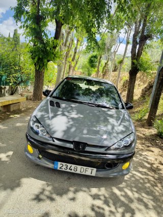 Peugeot 206 2005