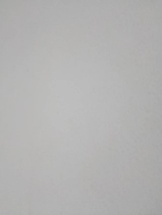 Servicios de pintura profesional