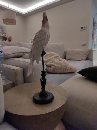 Escultura Pájaro Rosa y Negro