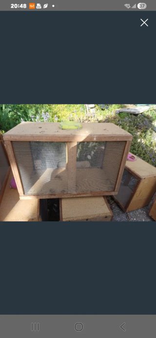 Caja transporte abejas
