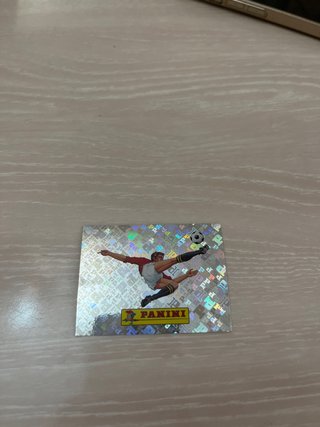 Cromo Panini Fútbol