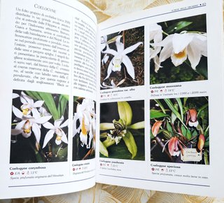 Libro Coltivare orchidee