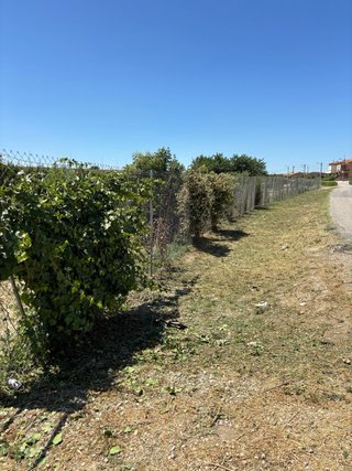 Jardinero