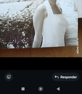 Vestido de Novia Raso Doble y Chal Tul