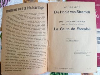 Nueva Colección de Novelas Bilingües