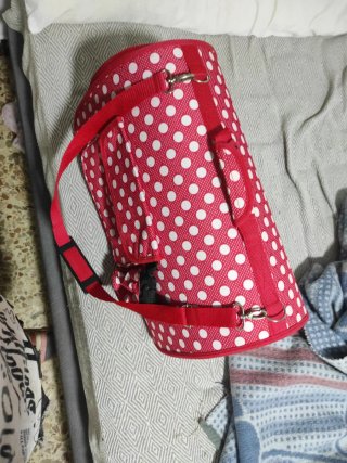 Transportín para gato o perro