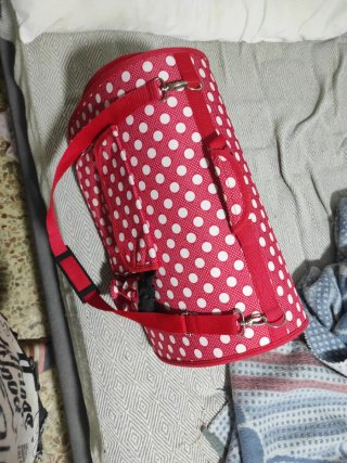 Transportín para gato o perro