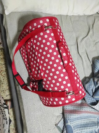 Transportín para gato o perro