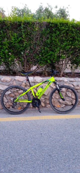 Bicicleta Montaña Verde