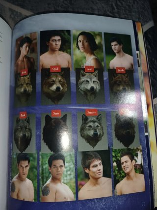 Lote de 2 libros(Crepúsculo) y el libro oficial.