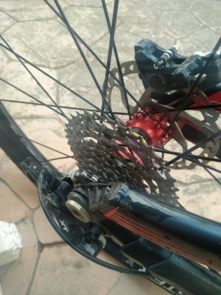 MTB 29 Orbea Occam