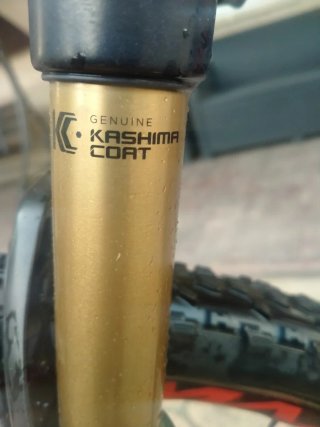 MTB 29 Orbea Occam