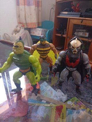 Colección Masters del Universo Figuras