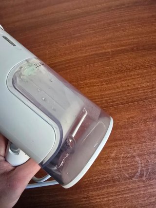 Plancha de vapor vertical Raelunyi