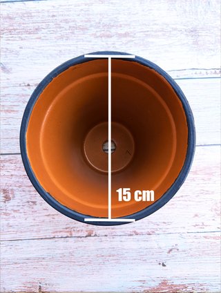 Maceta Artesanal Pintada a Mano - Puntillismo