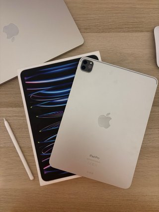 iPad Pro 11 4ª Gen Plata (250 GB) + apple pencil