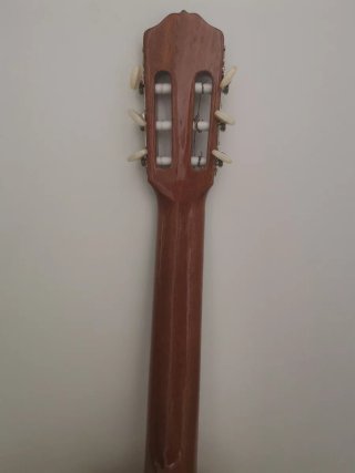 Guitarra española con funda