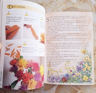 Due libri Manuabili Pocket Demetra