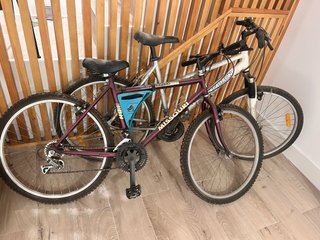 2 Bicicletas de Montaña Adulto