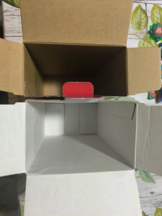 Caja Vacía Nintendo 2DS modelo Pokémon X