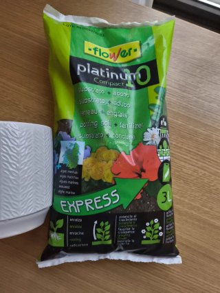 Jarrón blanco y sustrato plantas Platinum