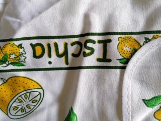 Strofinaccio con Limoni Capri Sorrento Amalfi