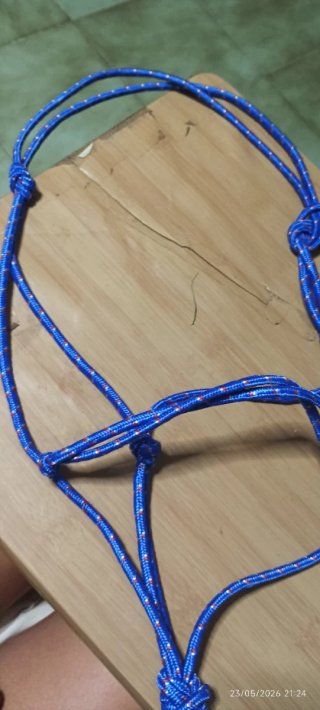 Cabezada de cuerda azul para caballo
