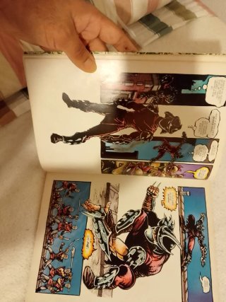 Comics TORTUGAS NINJA MUTANTES POR EASTMAN & LAIRD
