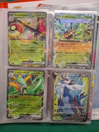 Carte Pokemon Full Art EX