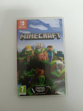 Minecraft Nintendo Switch
