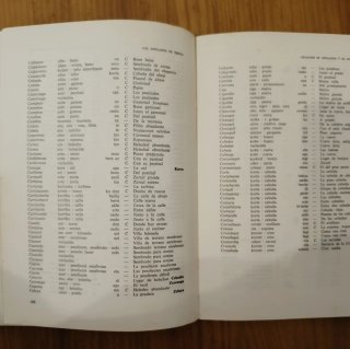 Apellidos vascos libros antiguo 1965