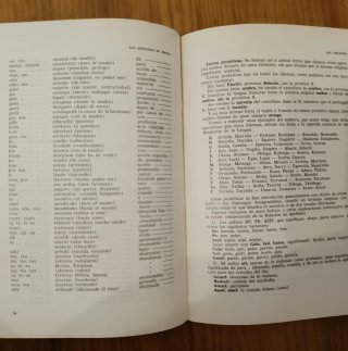 Apellidos vascos libros antiguo 1965